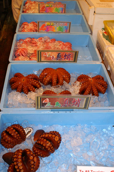 tokyo13 (18).JPG