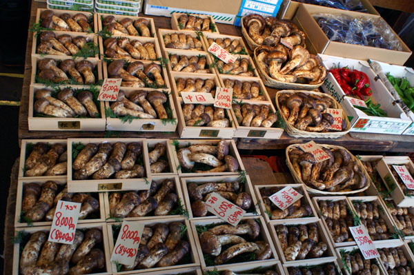 tokyo13 (115).JPG