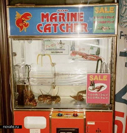 vending_����.jpg