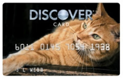 Discover-Cat-2009.jpg
