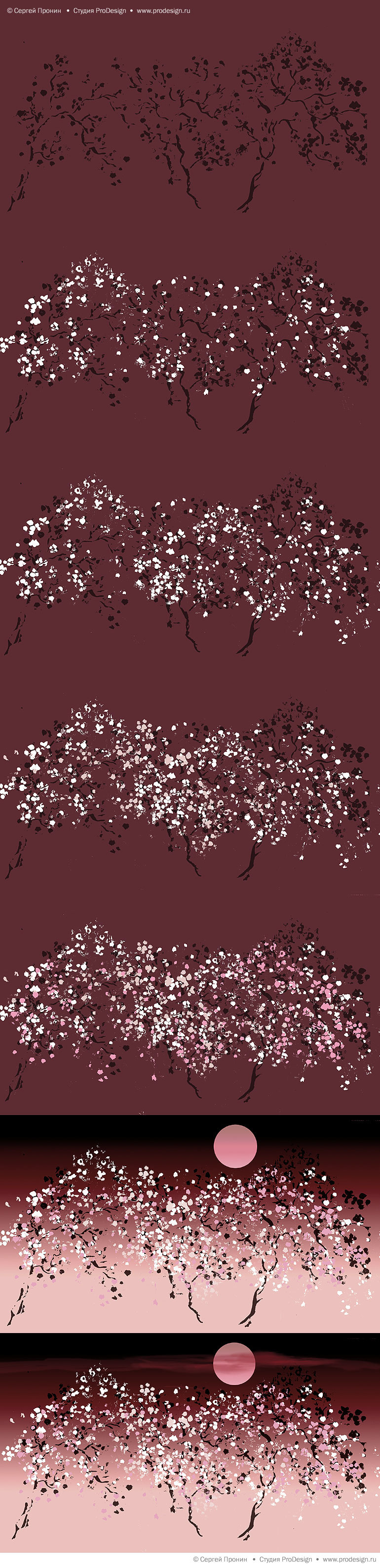 sakura_process_m.jpg