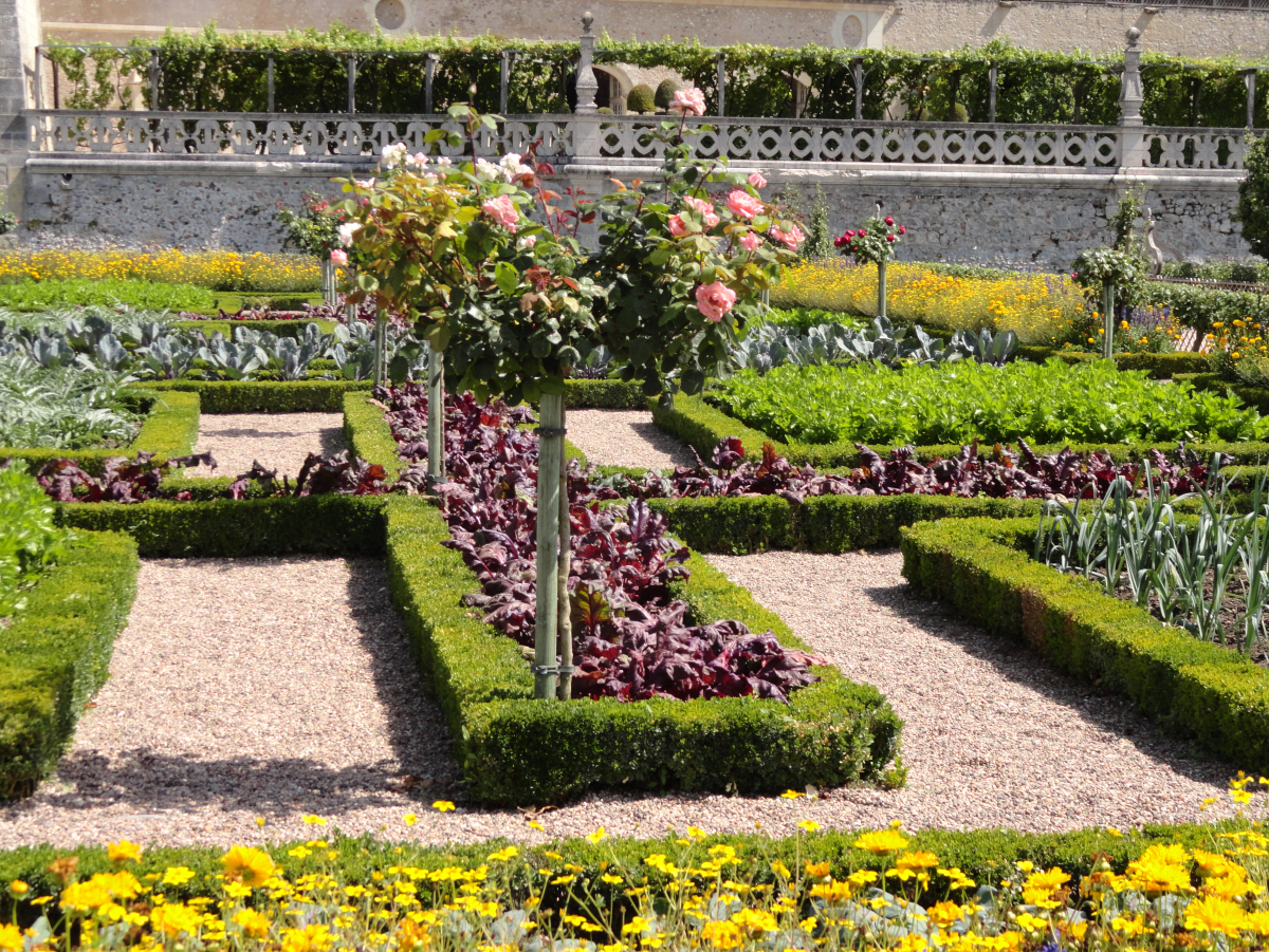 ���� ���������