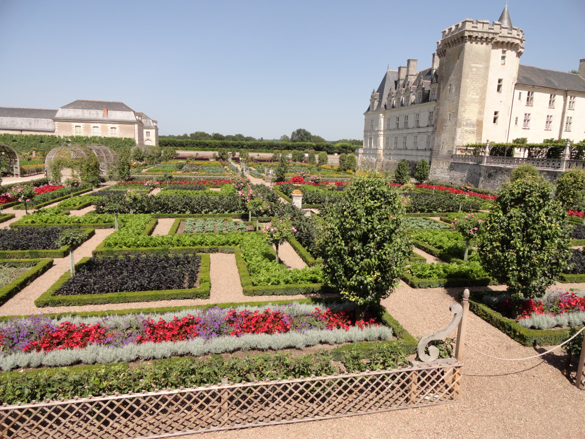 ���� ���������