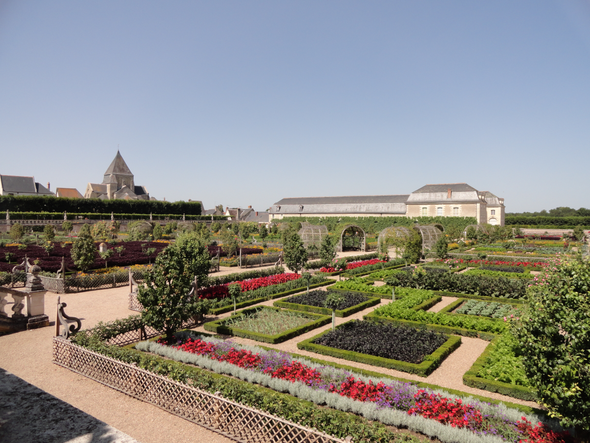 ���� ���������