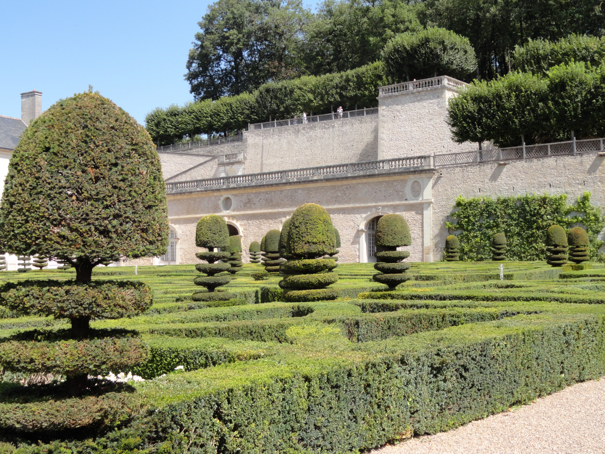 ���� ���������