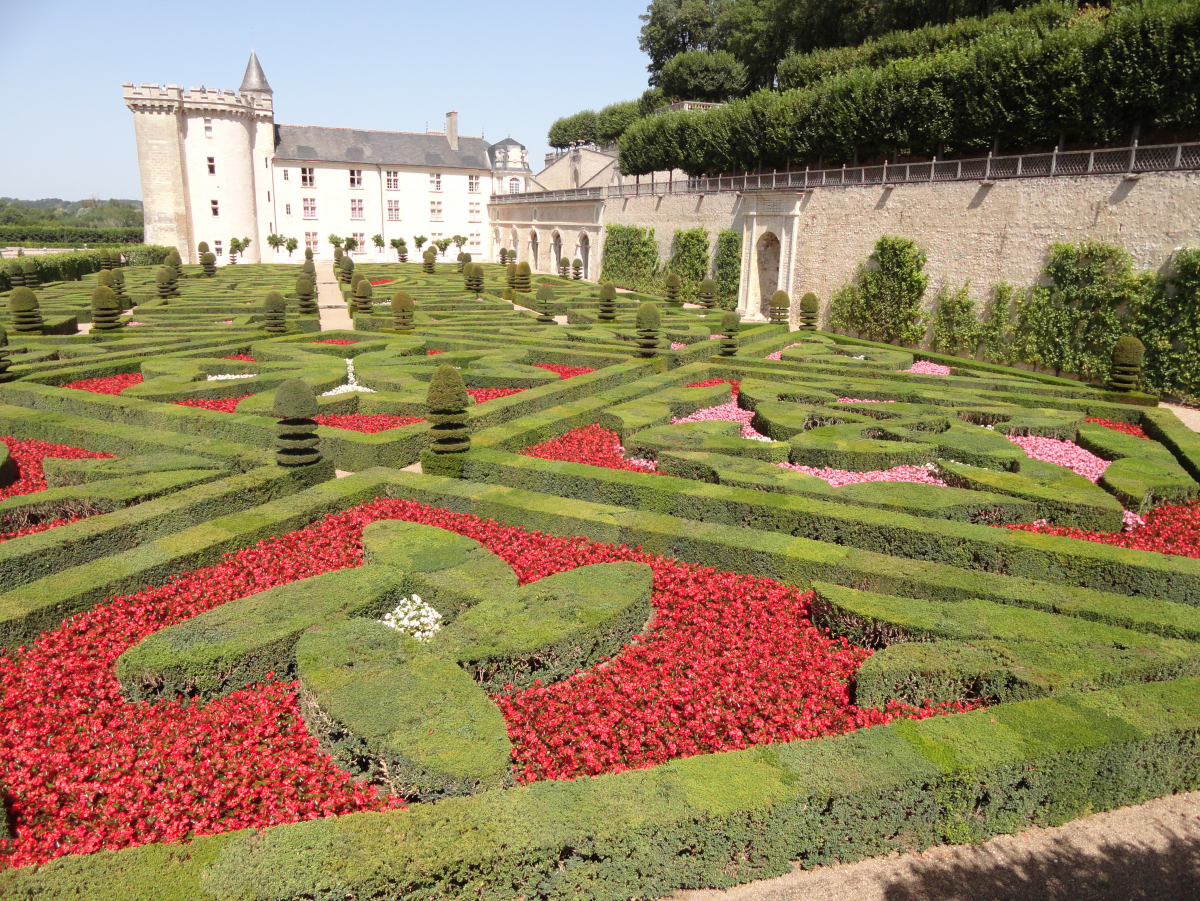 ���� ���������