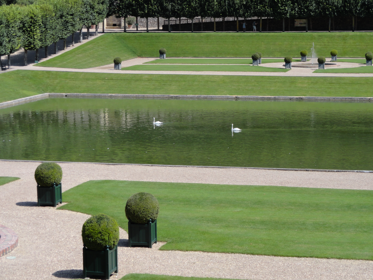 ���� ���������