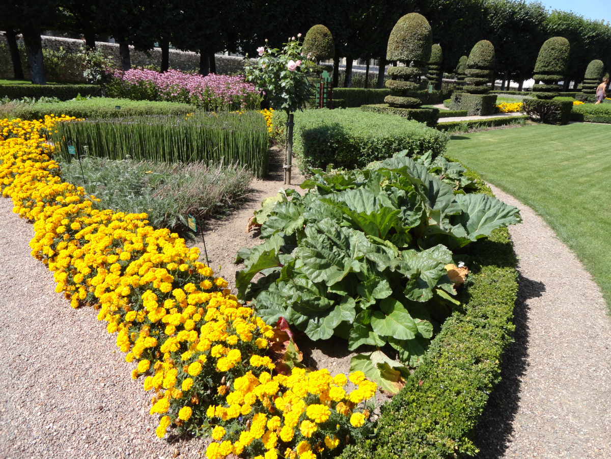 ���� ���������