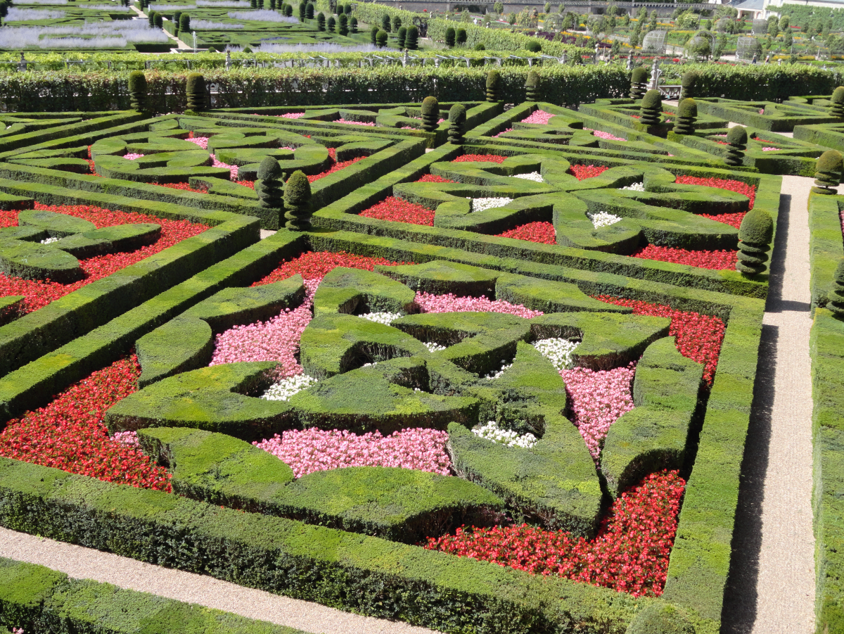 ���� ���������