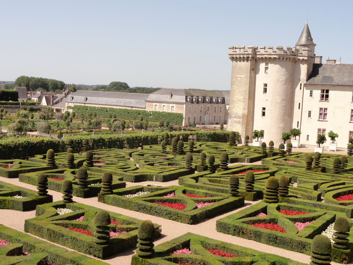 ���� ���������