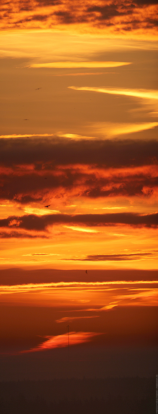 2012_1002_pan5.jpg