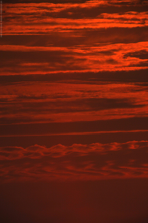 sun_up_09.jpg
