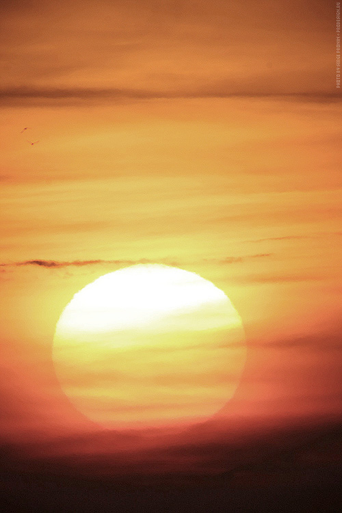 sun_up_11.jpg