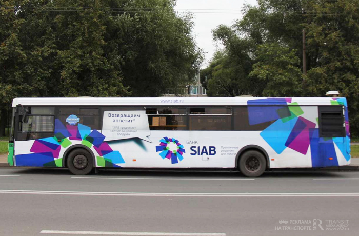 siab1.jpg