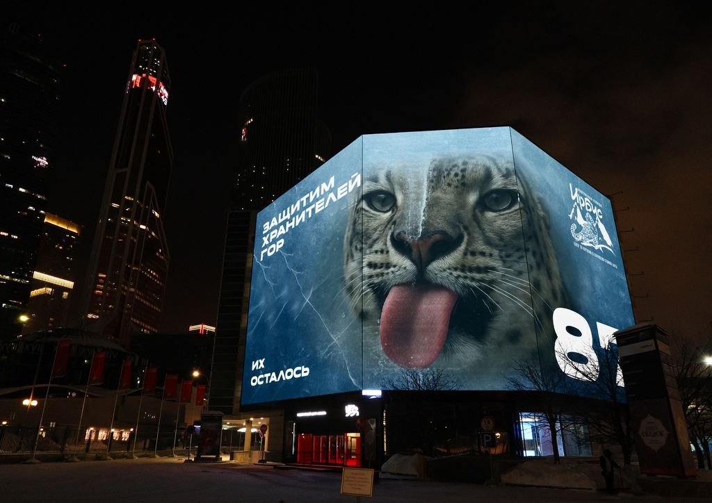 �����? � ��? �_������_�? �����? ��������� ����? ����� 14 �? ? 18_����? ? _2026_2 - 1K JPEG