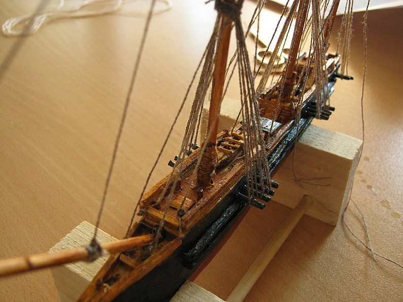 IMG_4428.jpg
