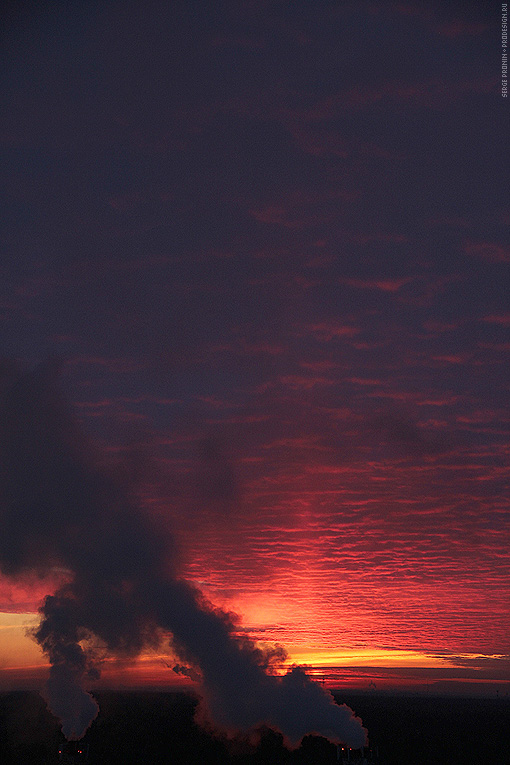 IMG_9508.jpg