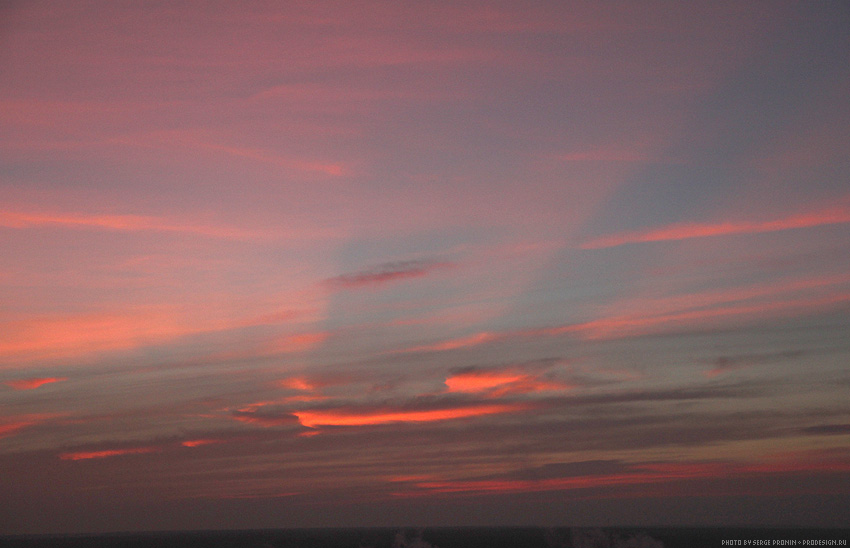 web_8660.jpg