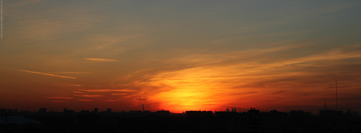 IMG_9984.jpg