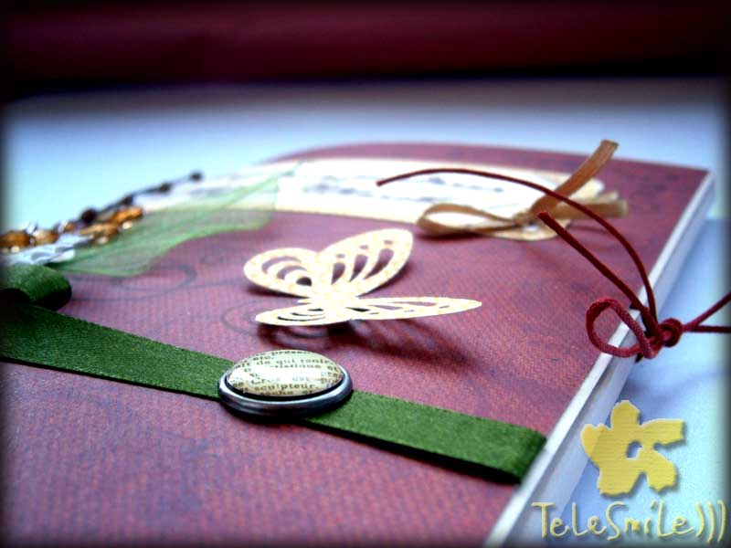 ������������ ������������ ����������� �������� �� �����