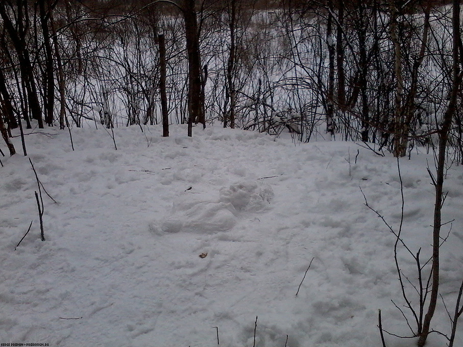 2014_feb09_05.jpg