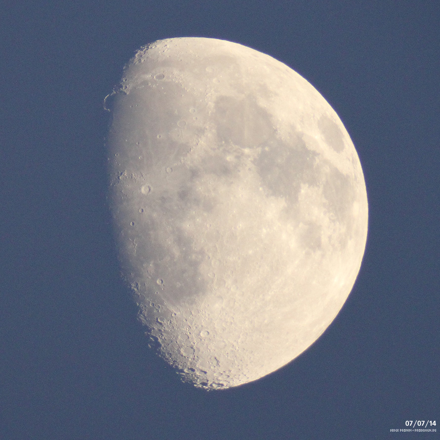 IMG_7385m.jpg