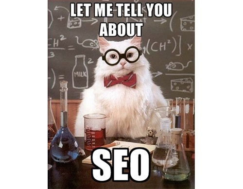 seo-cat.jpg