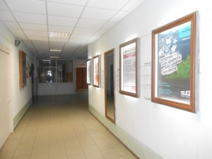 222934_300.jpg