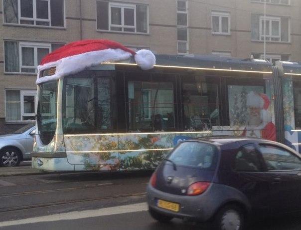 ��������� (����������).jpg