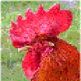 1cock.gif