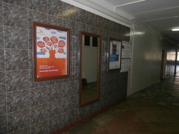 243530_600.jpg