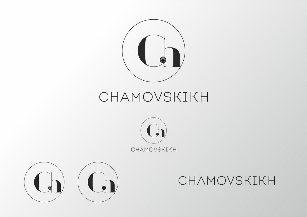 CHAMOVSKIKH 3_resize.jpg