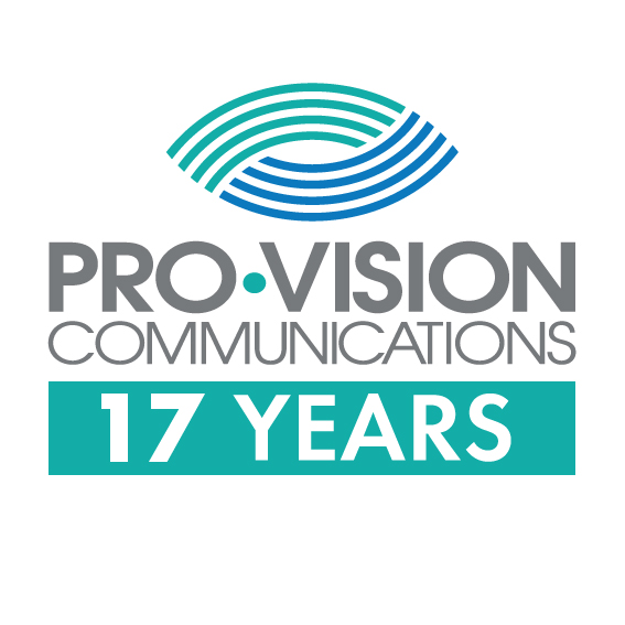 logo_pvc_17years.jpg