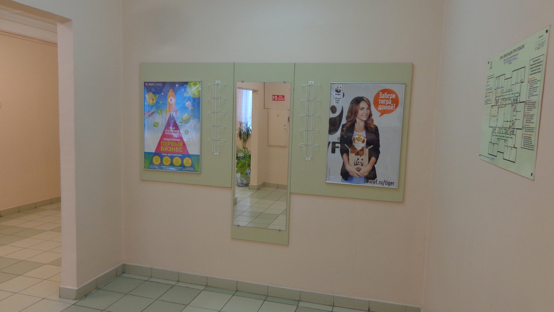 wwf__ 1538 ( 1743)_ ., 8_7172_86316.jpg