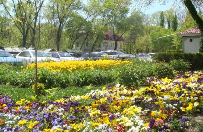 1 ���_�������.JPG