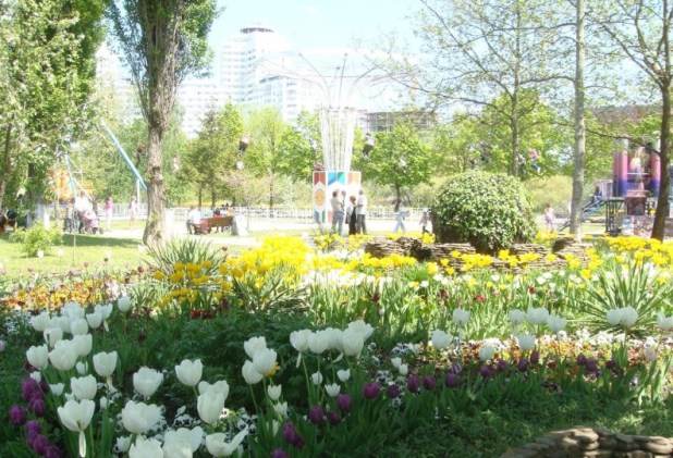 1 ���_��������.JPG