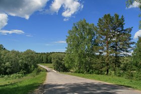 volk34 280.jpg
