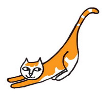 cat2_resize_resize.jpg