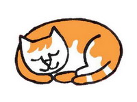 cat3_resize_resize.jpg