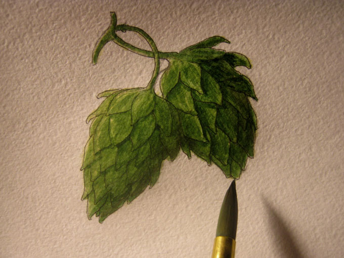 aIMG_0487.jpg