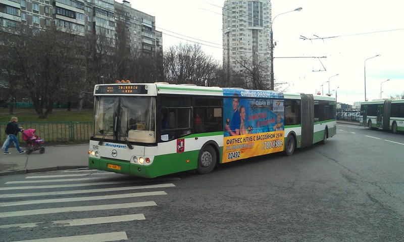 sporttaun800.jpg