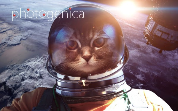 �������� �����������