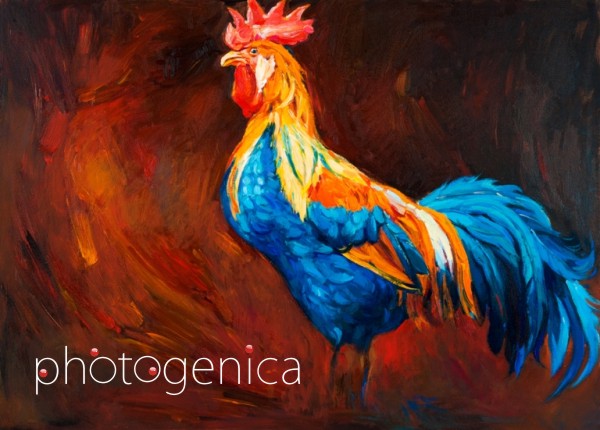 �������� ����� ������ 2017 ����