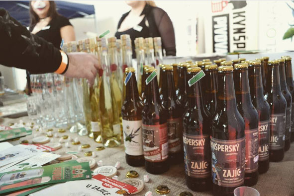 pivfest01.jpg