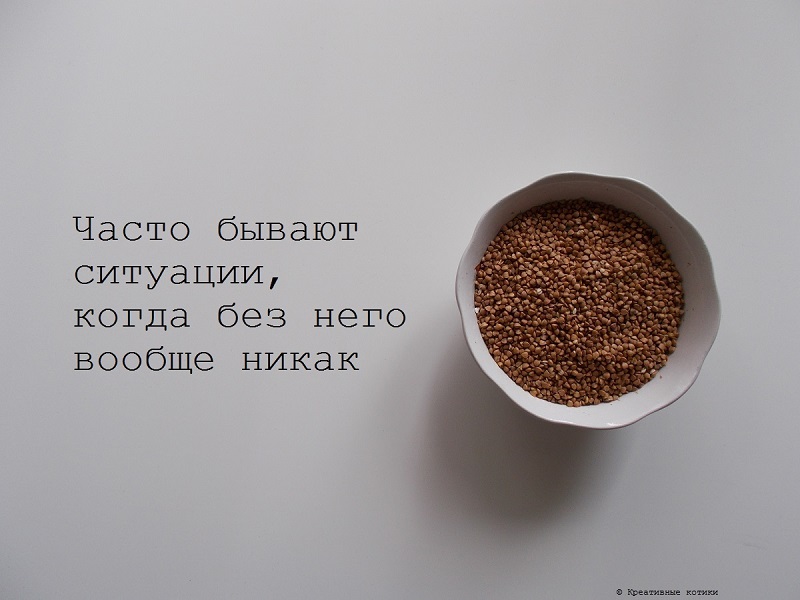 17.JPG