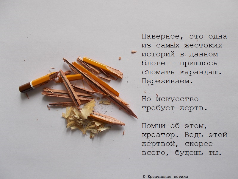 14.JPG