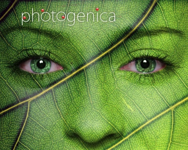 Fotografii_ekologia_NLRU11-2017_baner1_600x480.jpg