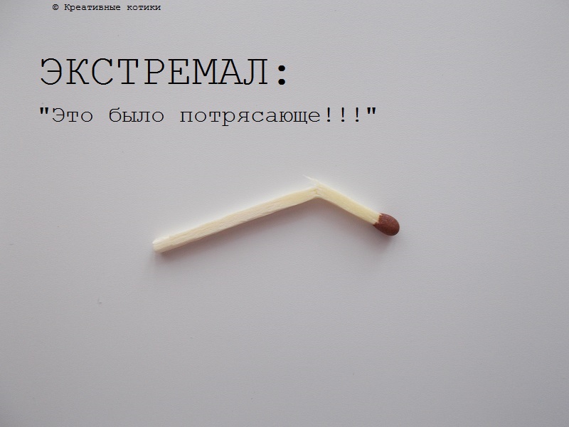 17.JPG