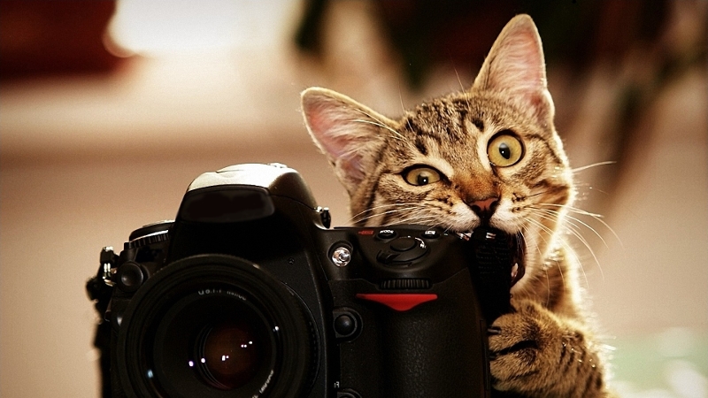 10-ways-to-make-a-photo-for-an-online-store-yourself.jpg