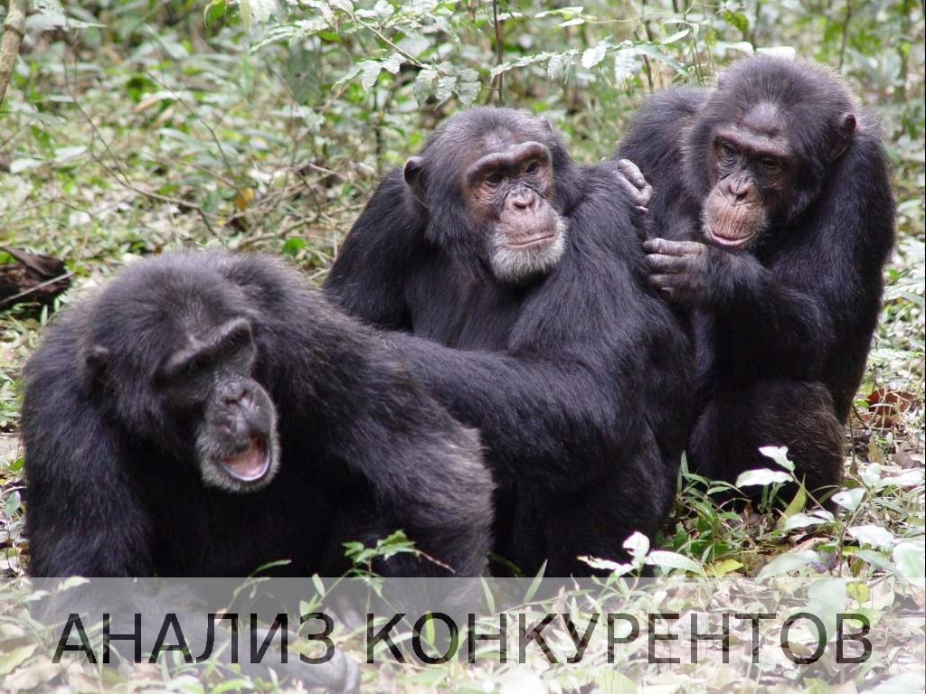 ������ �����������: �� ��� �������� ��������� ��������.jpg